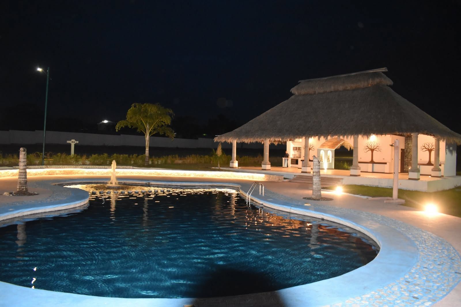 Alberca con fuente y palapa iluminadas de noche