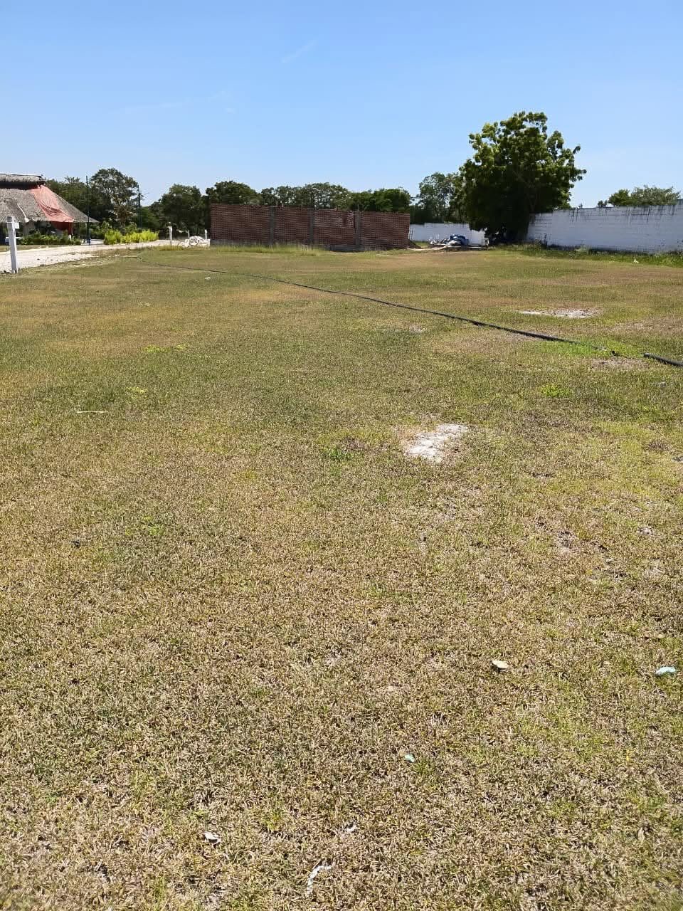 Lote con pasto listo para construir, con la palapa al fondo
